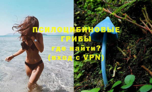 ECSTASY Белоозёрский