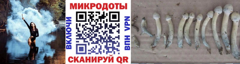 даркнет сайт  Нариманов  Псилоцибиновые грибы мицелий 